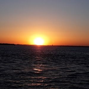 Meet your Posher, Lynn